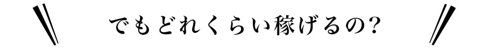 でもどれくらい稼げるの?